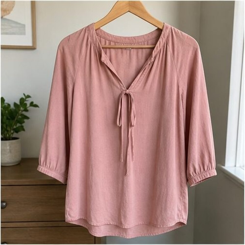 Blush V Neck Top